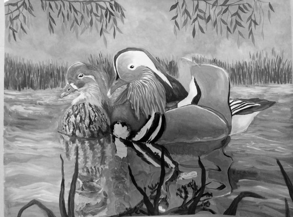 Gorgeous mandarin duck coloring pages for kids
