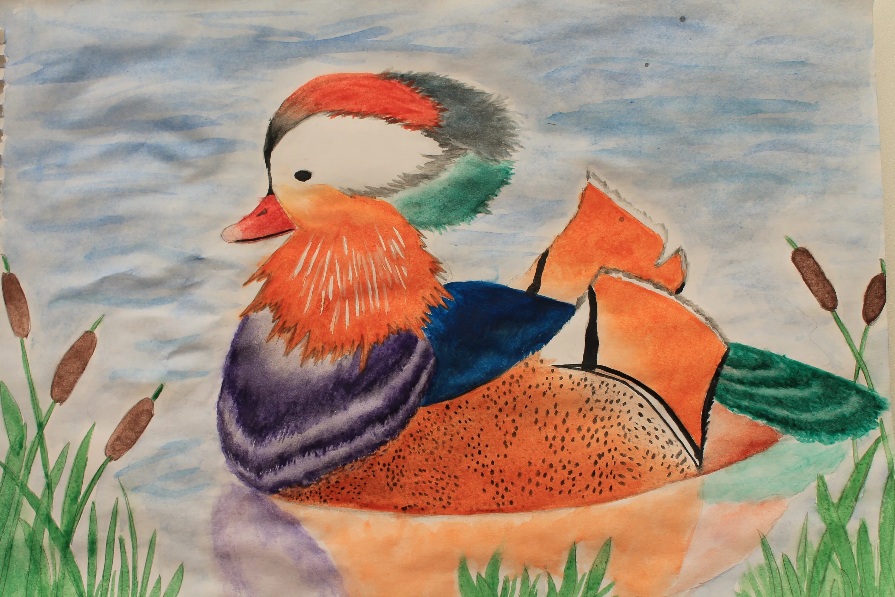 Элегантная утка-мандаринка раскраски для детей