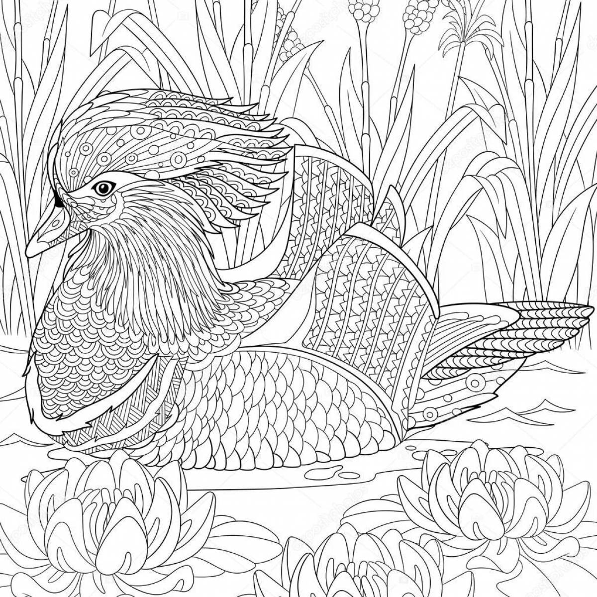Attractive tangerine coloring book for kids