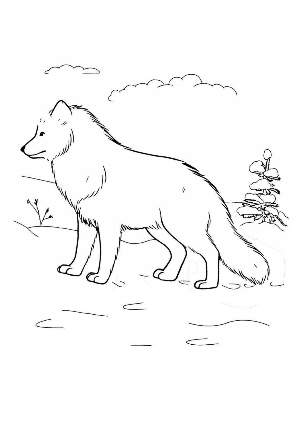 Coloring book fluffy polar wolf