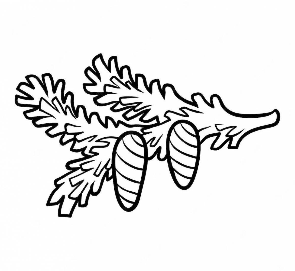 Colorful fir branch coloring page for kids