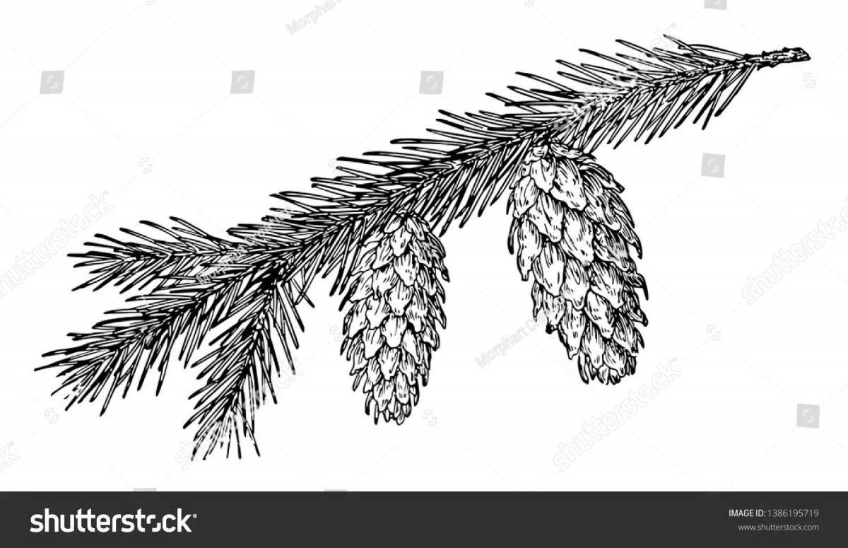 Playful fir branch coloring page for kids