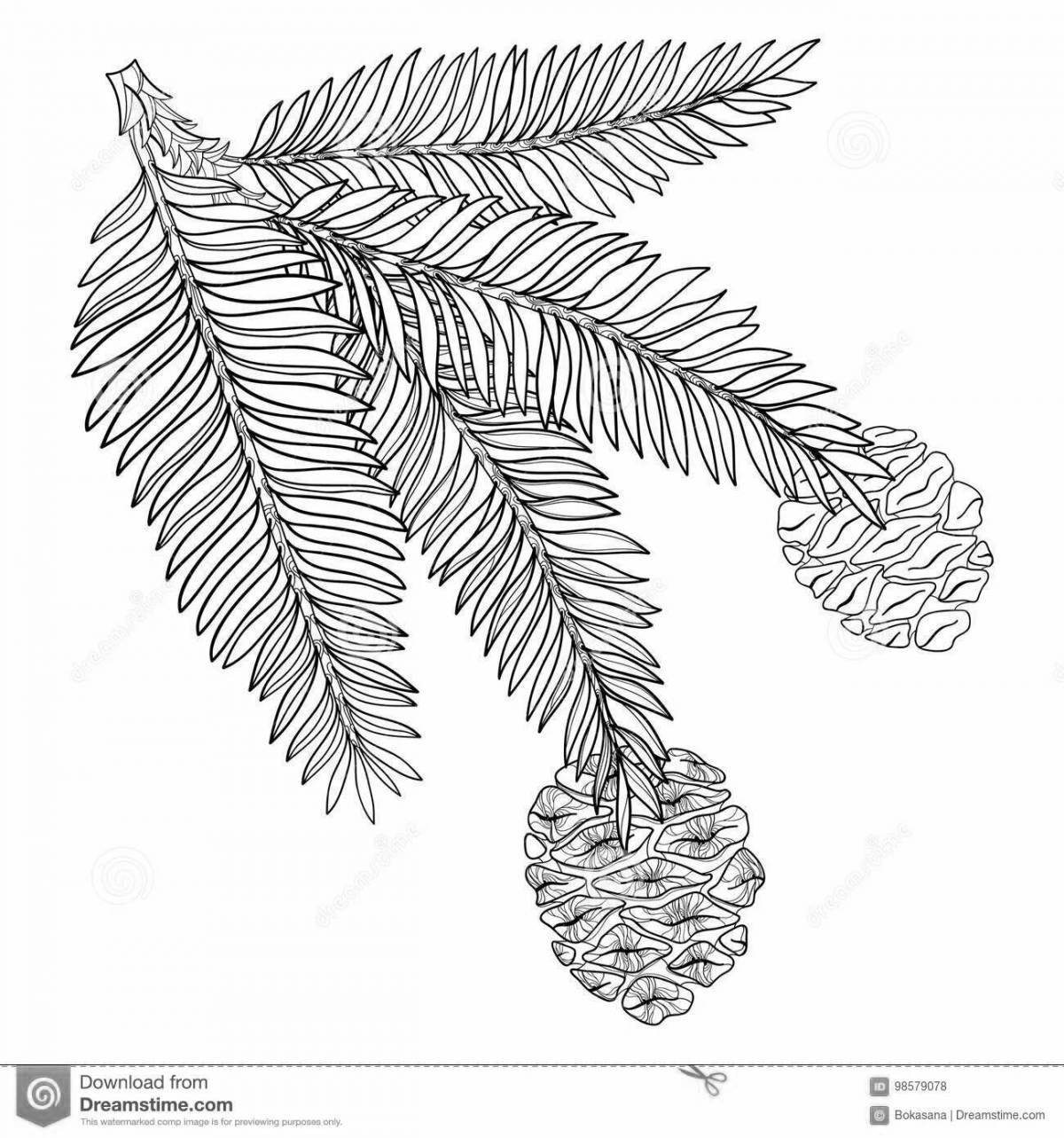 Coloring book gorgeous spruce branch for kids