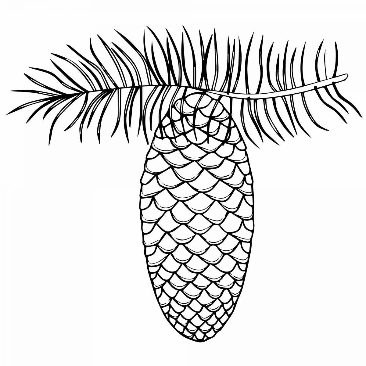 Amazing fir branch coloring page for kids