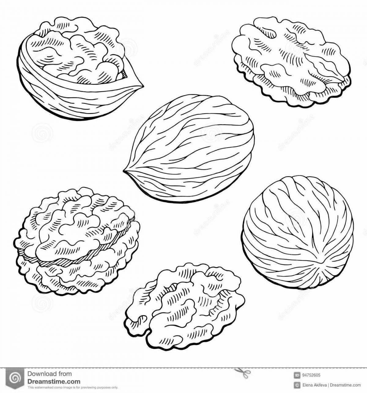 Грецкий орех контур