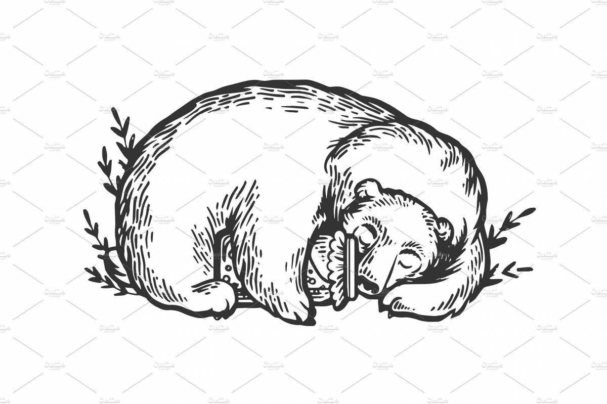 Приютившийся медведь-раскраска спит в берлоге