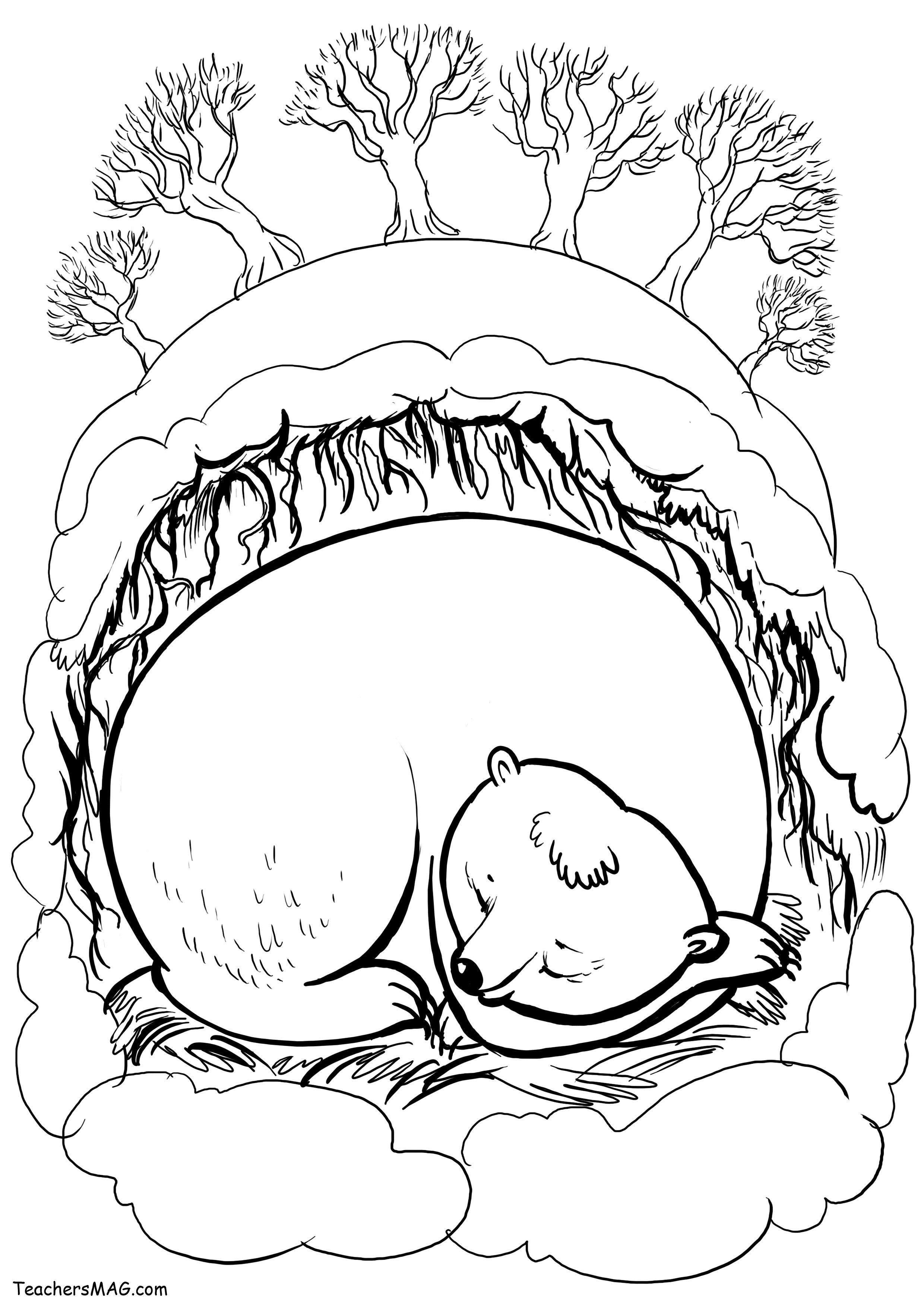 Мишка спит в берлоге #23