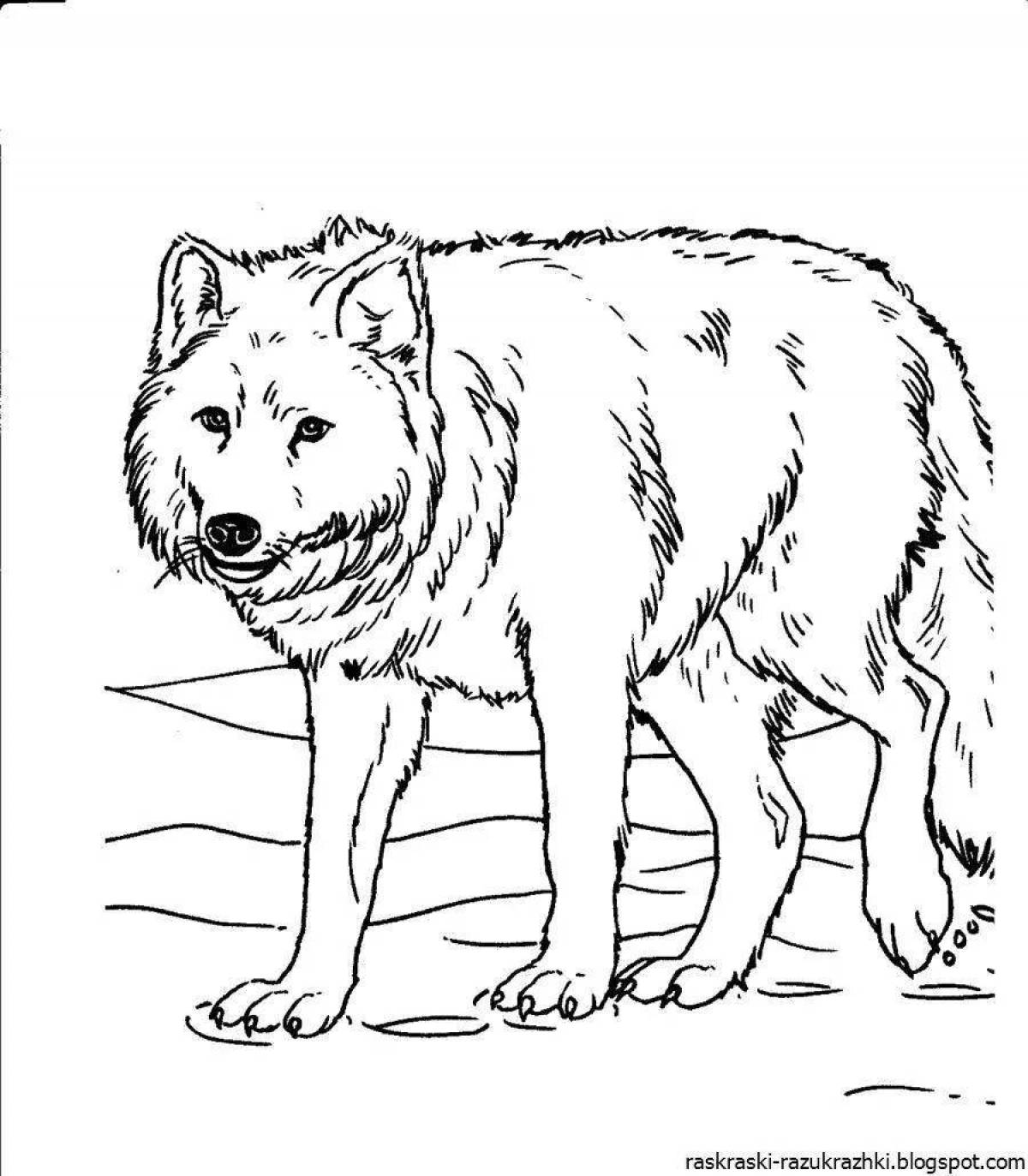 Coloring pages of wild animals for kids