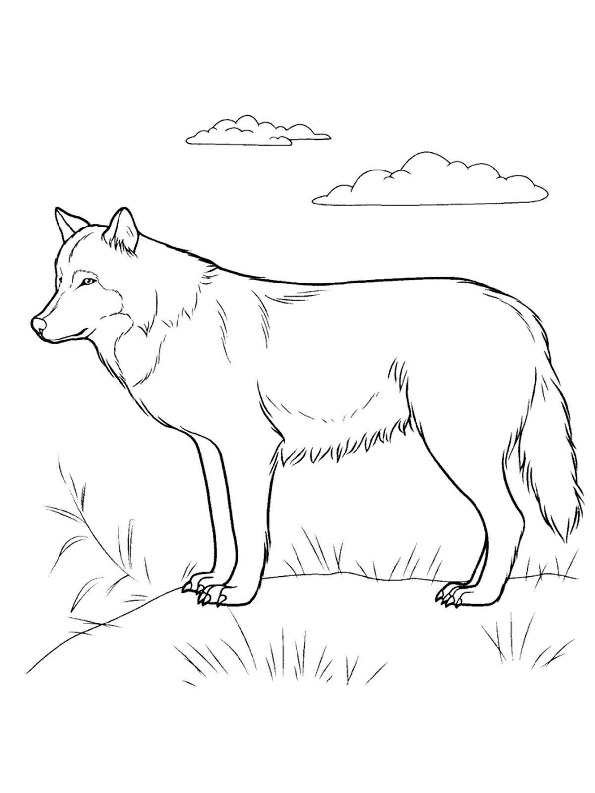 Crazy wild animal coloring pages for kids
