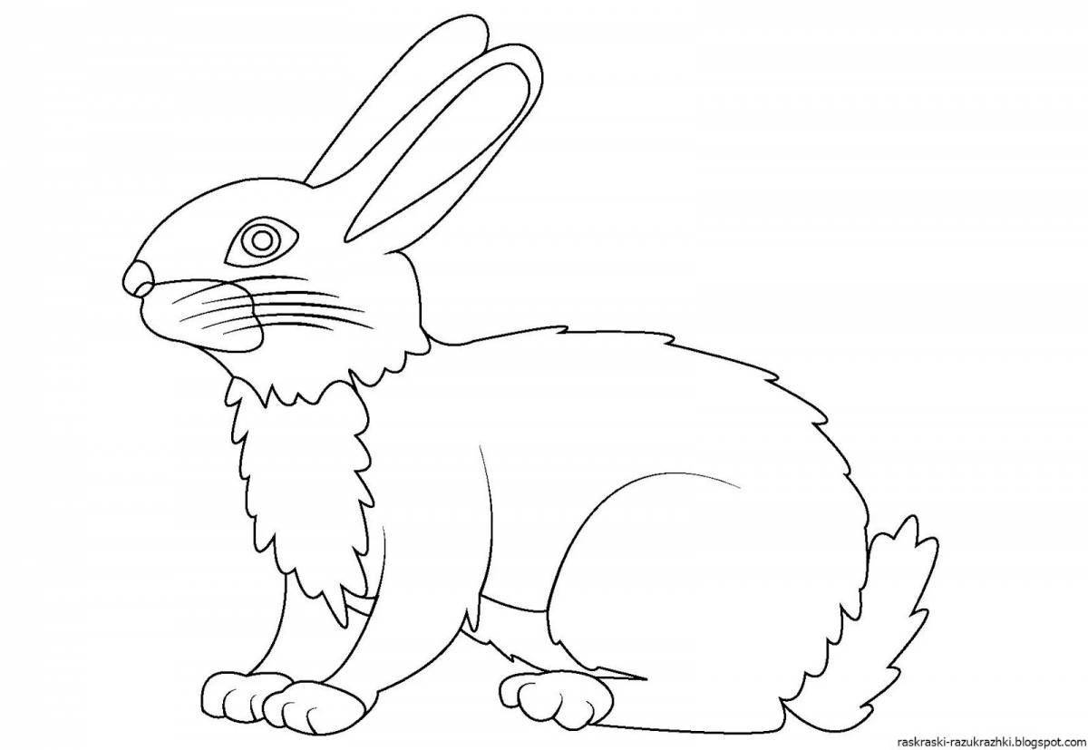 Adorable hare coloring book for kids