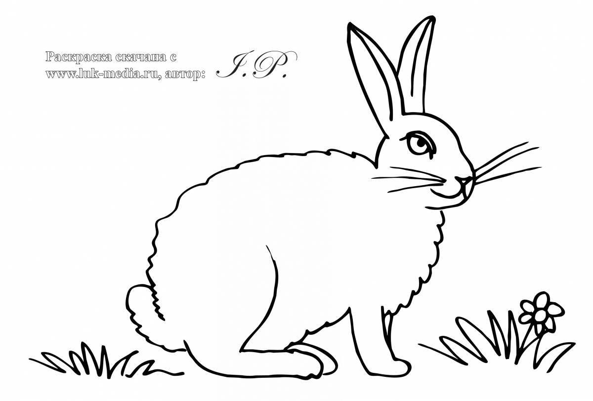 Coloring book funny hare for kids