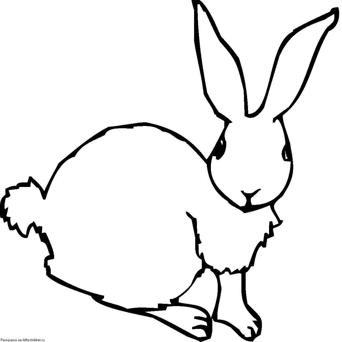 Coloring live hare for kids