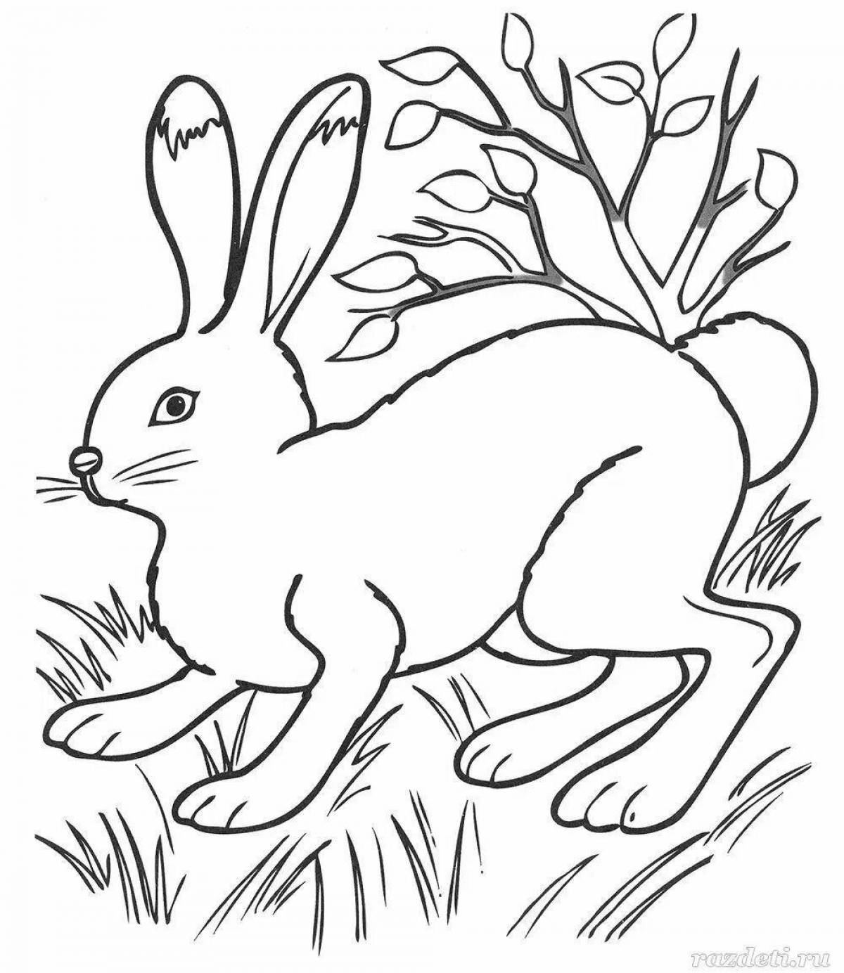 Animated hare coloring page for kids