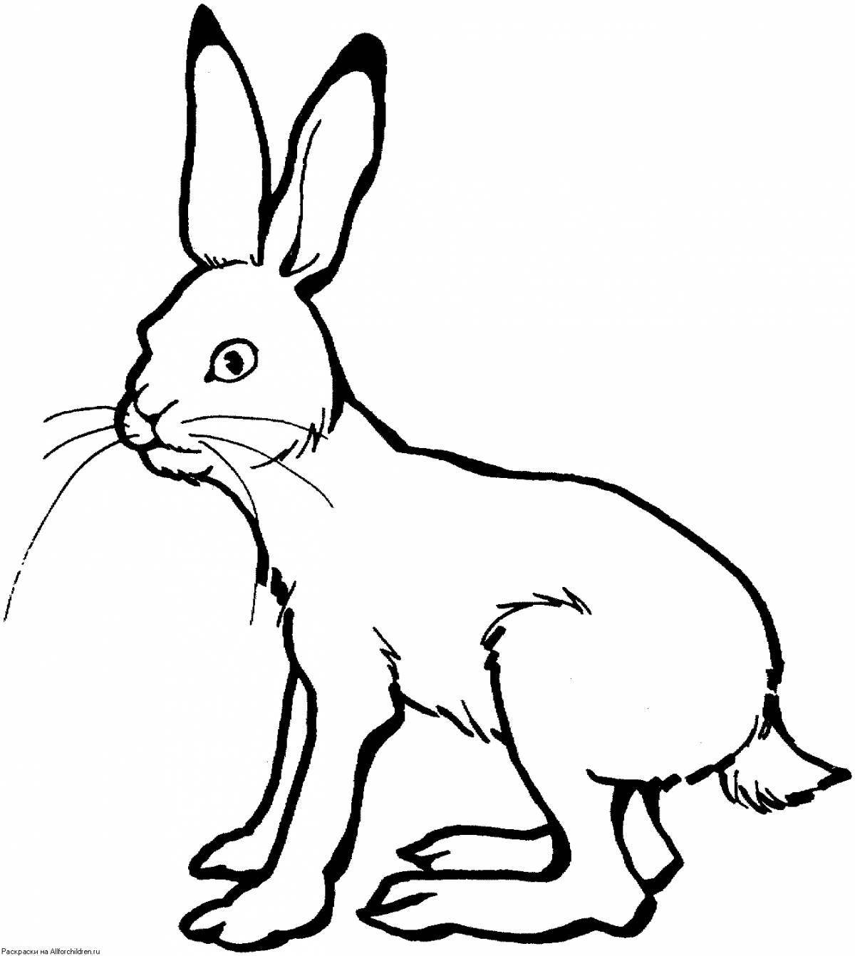 Fun coloring hare for kids