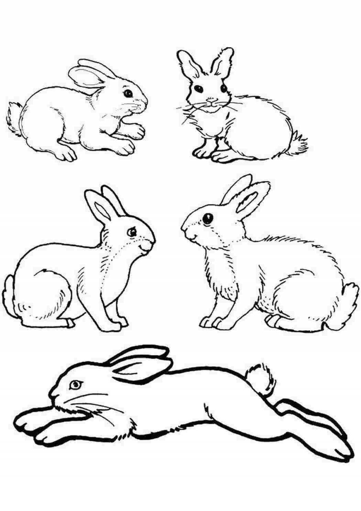 A fascinating hare coloring book for kids