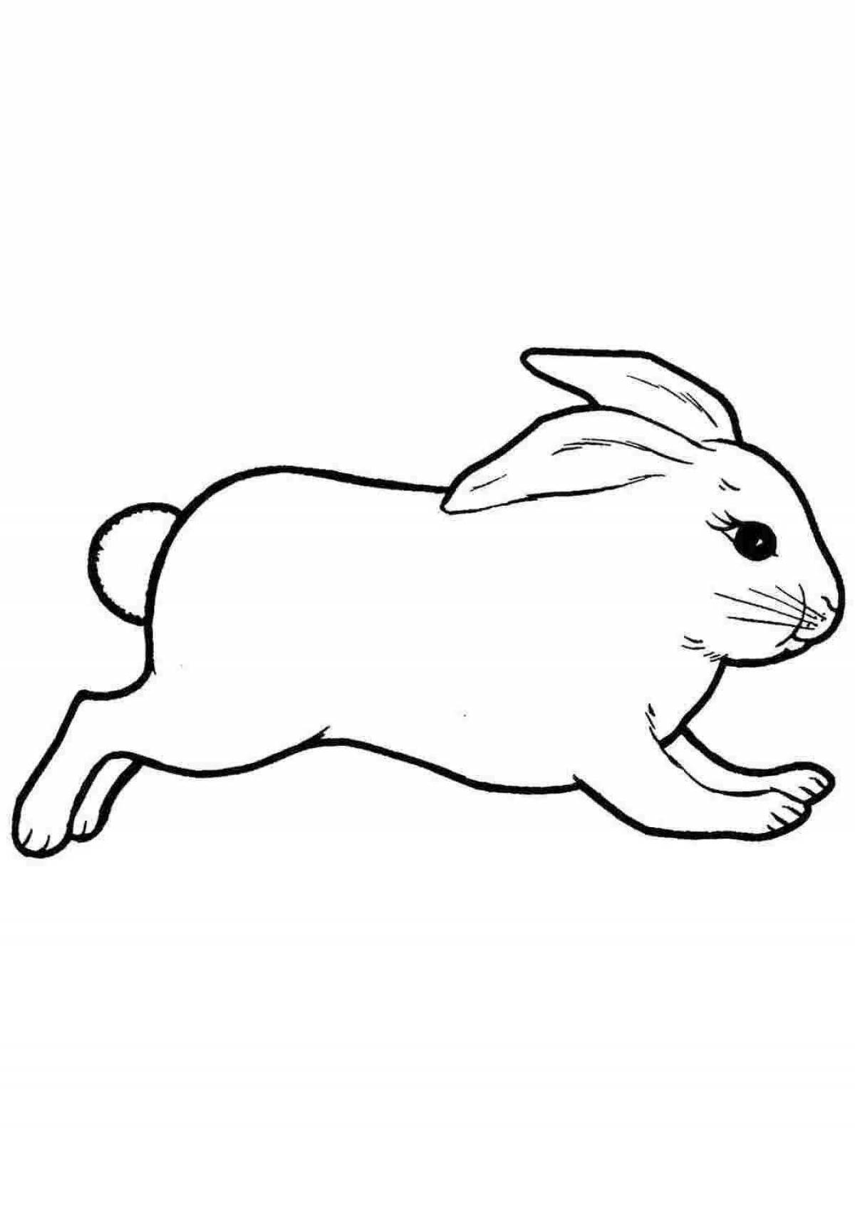 Exciting hare coloring for kids