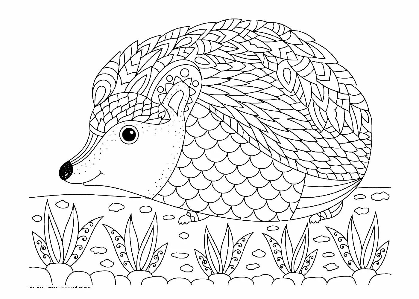 Balmy antistress animal coloring book for kids