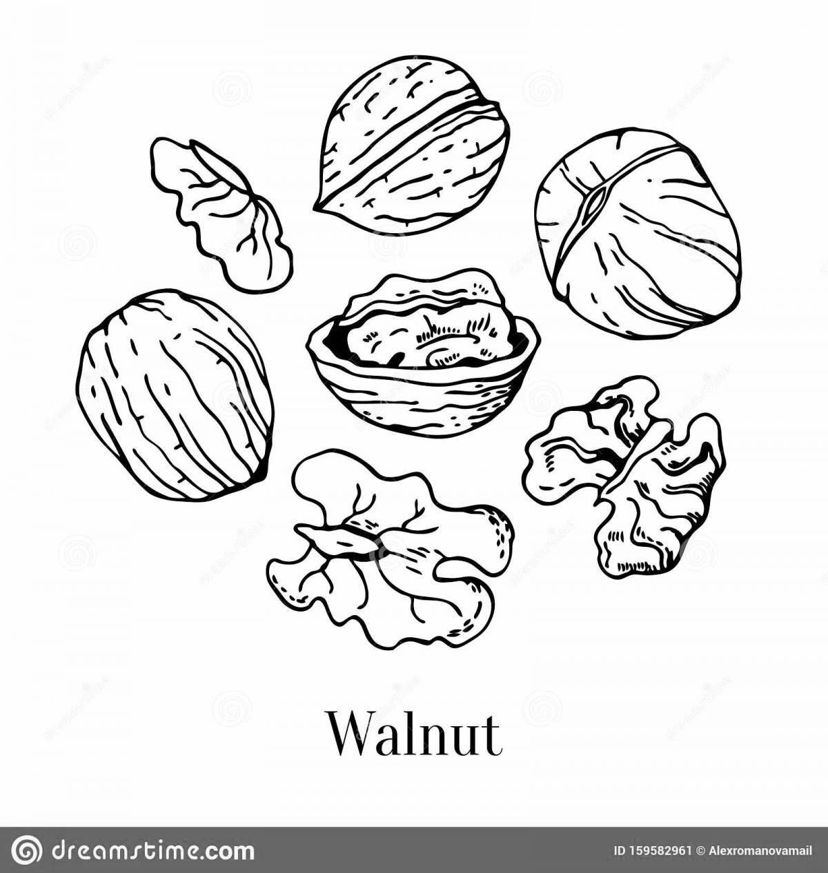 Adorable walnut coloring book for babies
