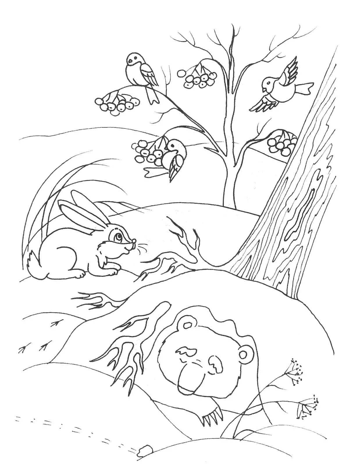 Cute coloring book sleeping bear in the den