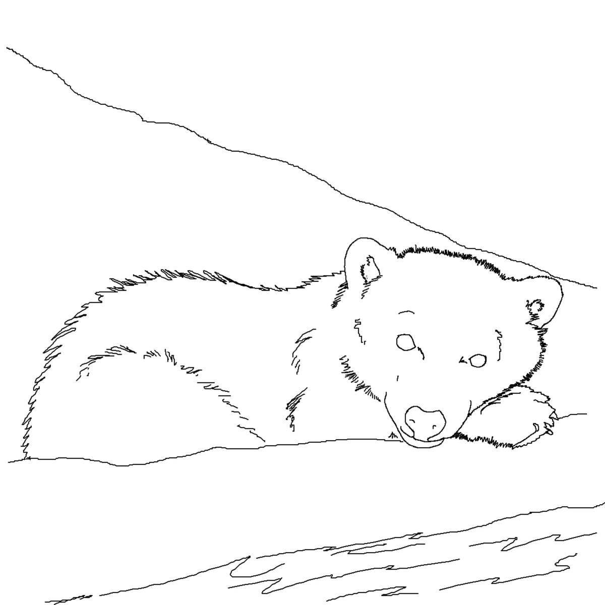 Furry coloring book sleeping bear in a den