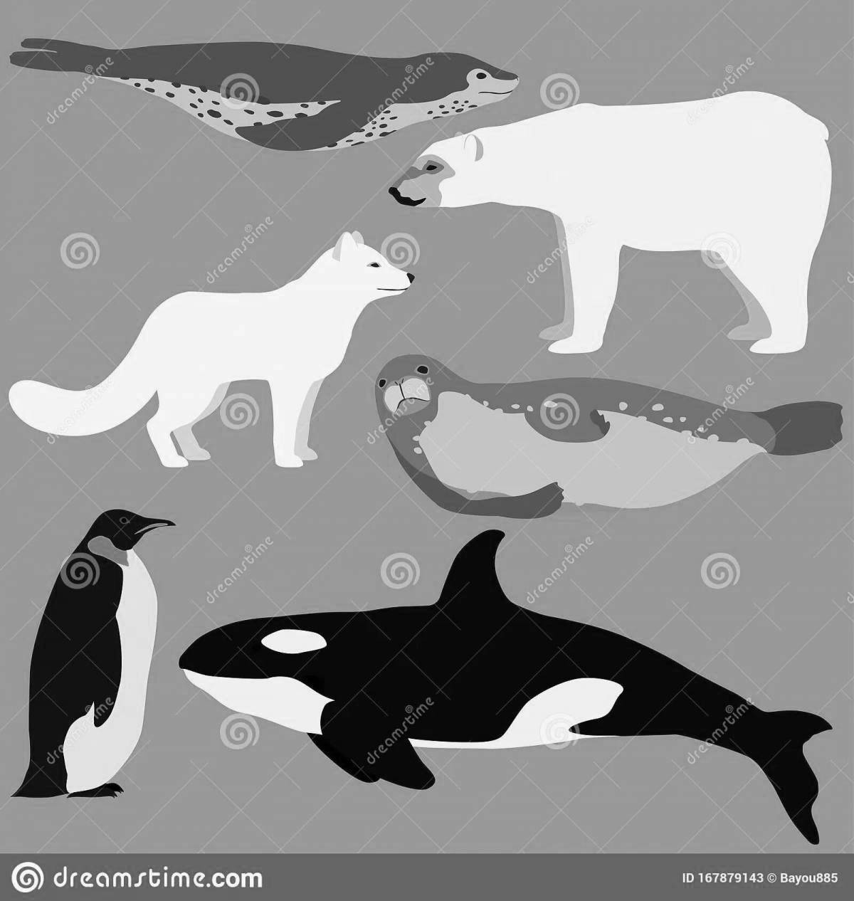 Красочная страница раскраски пингвинов и белых медведей