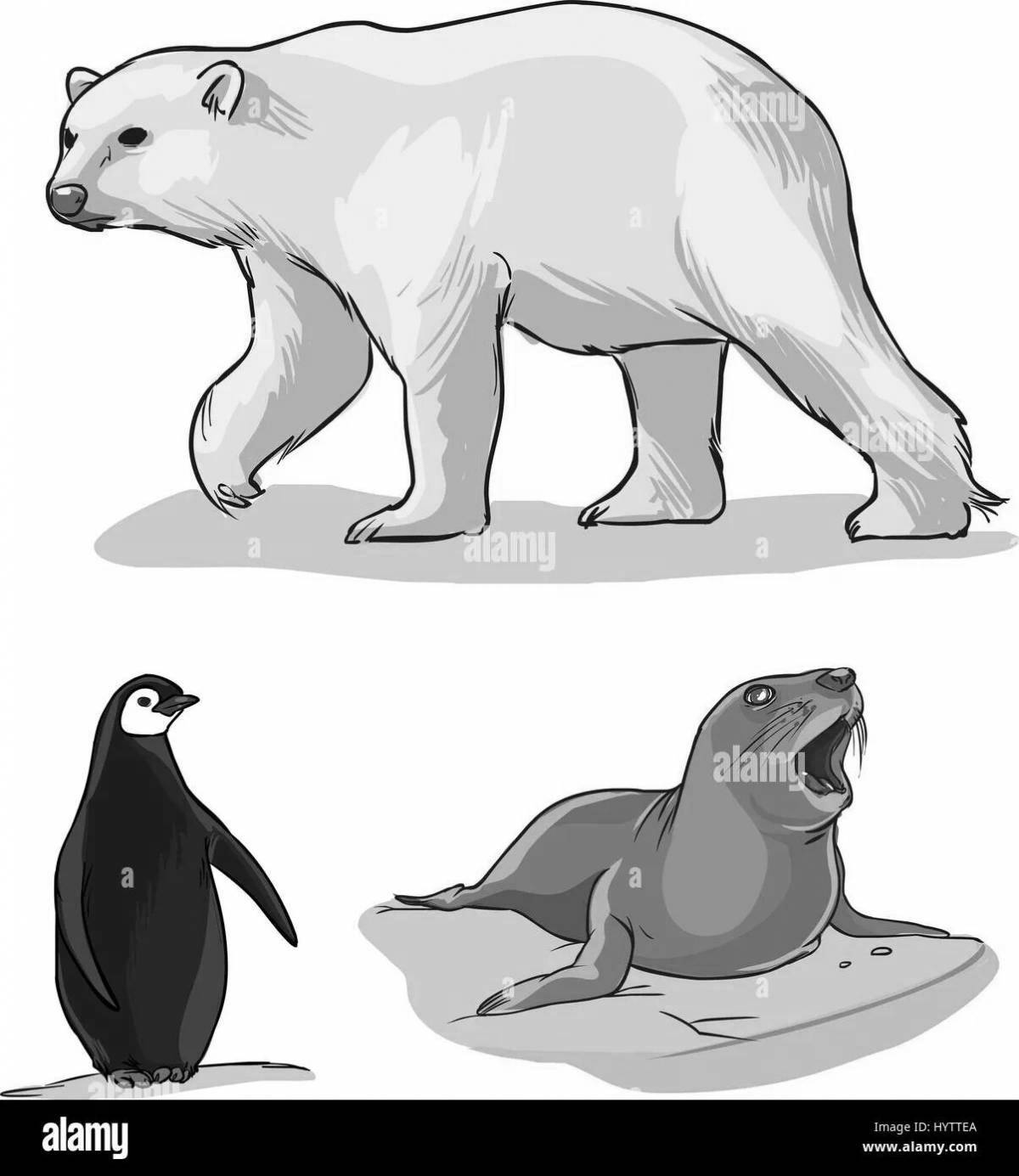 Раскраска яркий пингвин и белый медведь
