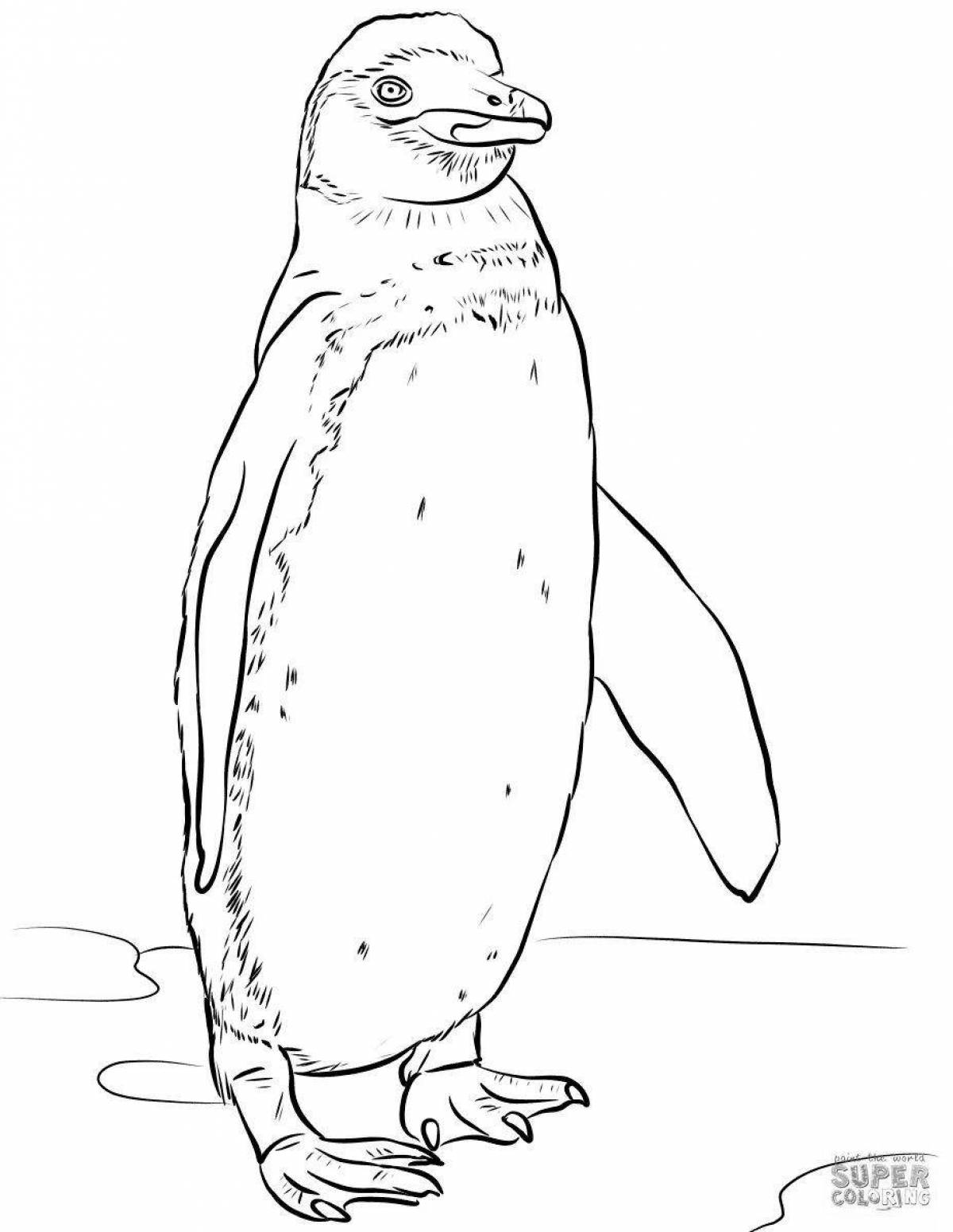 Rampant penguin and polar bear coloring page