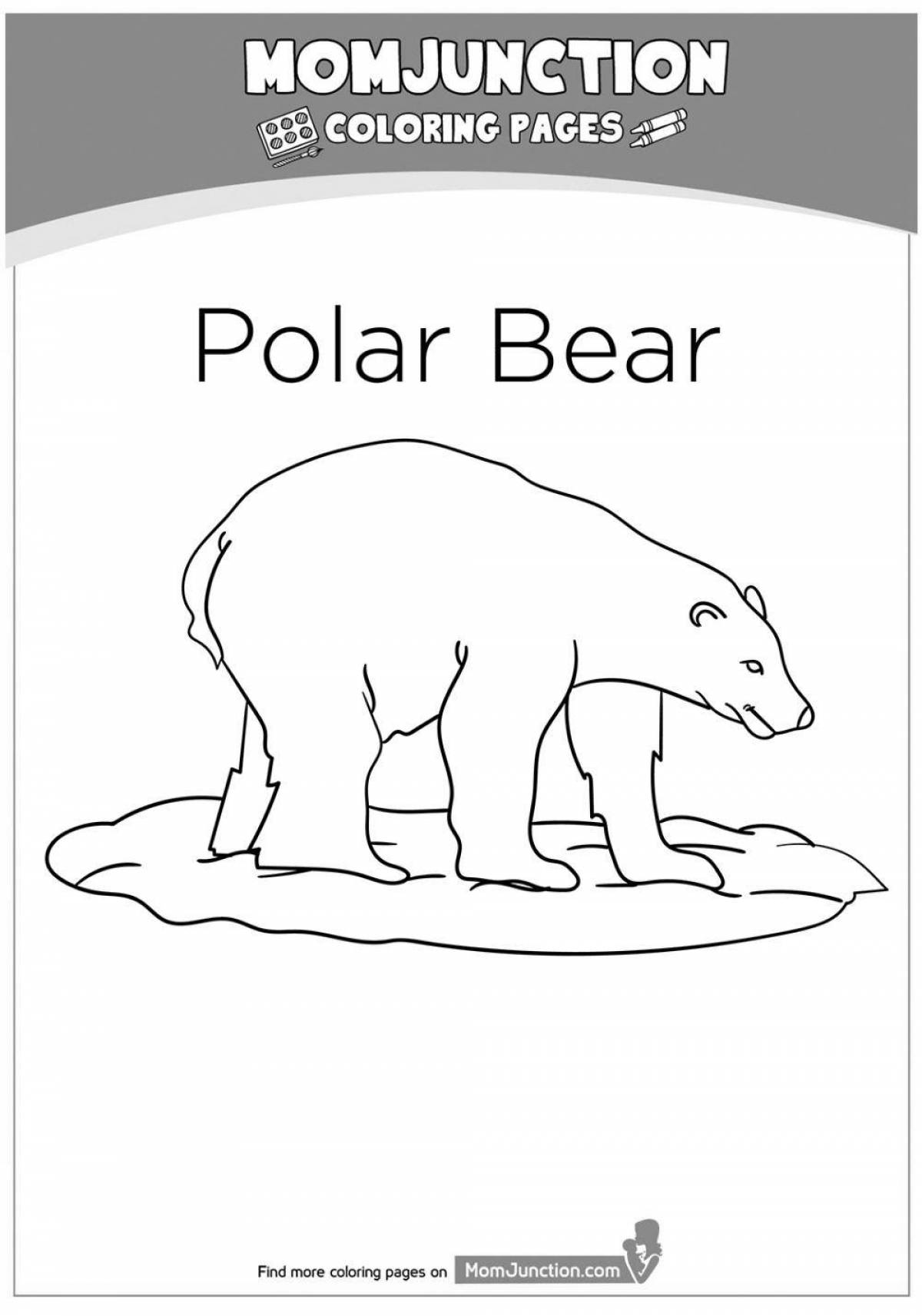 Coloring book cute penguin and polar bear