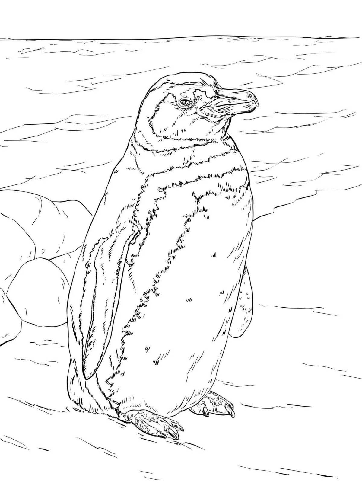 Glowing penguin and polar bear coloring page