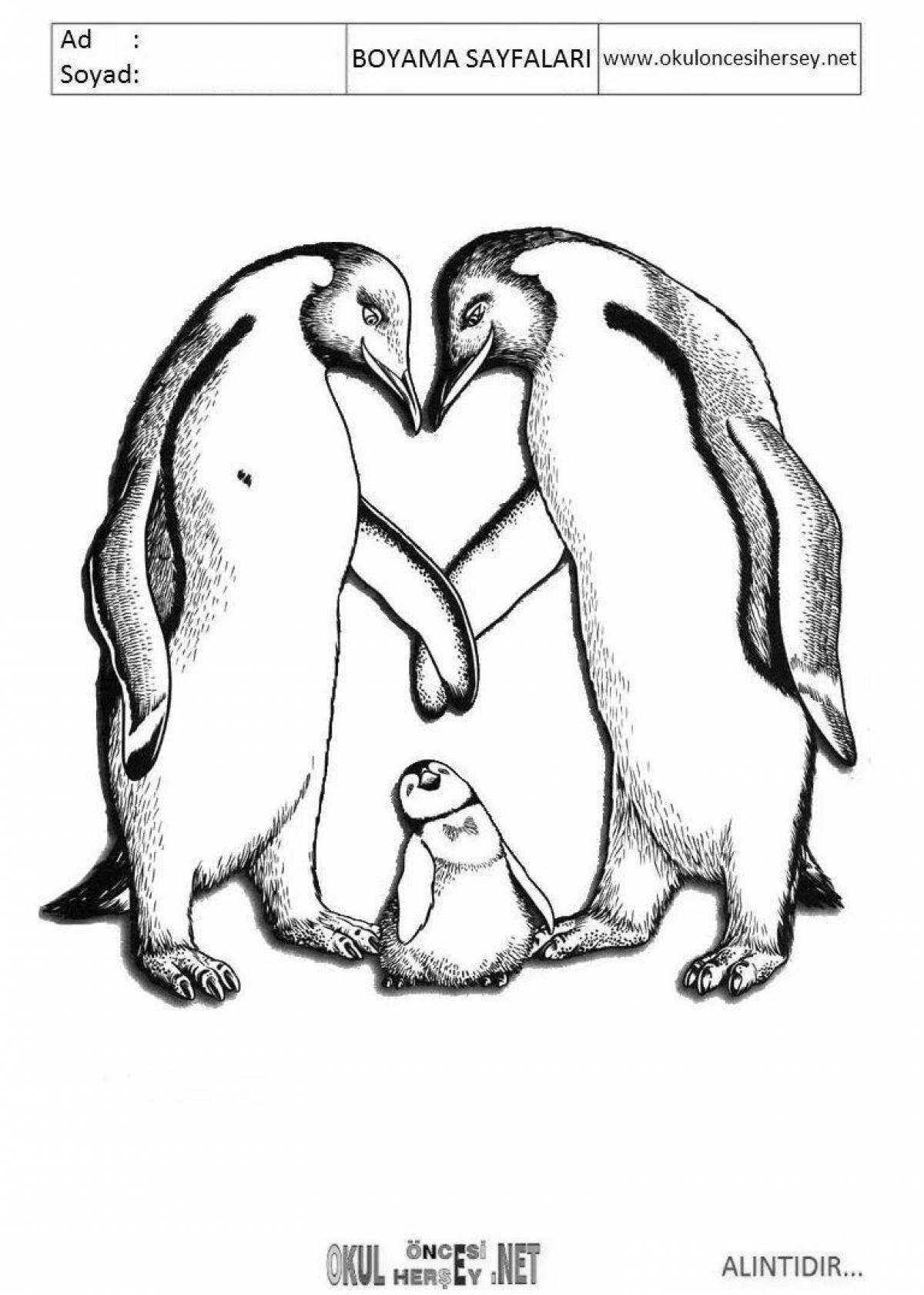Coloring book exquisite penguin and polar bear