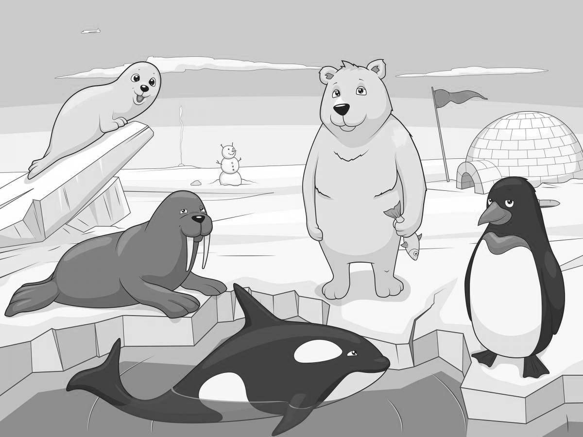 Раскраска чудесный пингвин и белый медведь