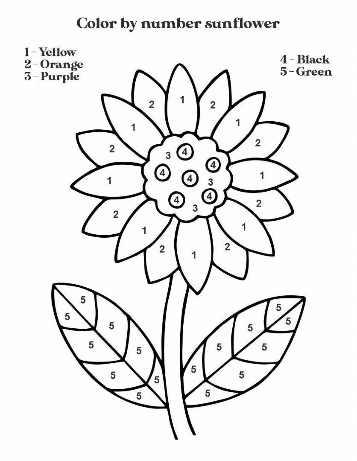 Exciting English by number coloring book