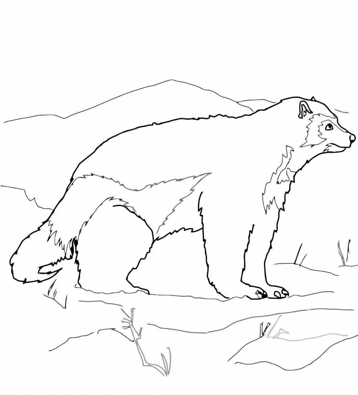 Wolverine animal coloring book for kids