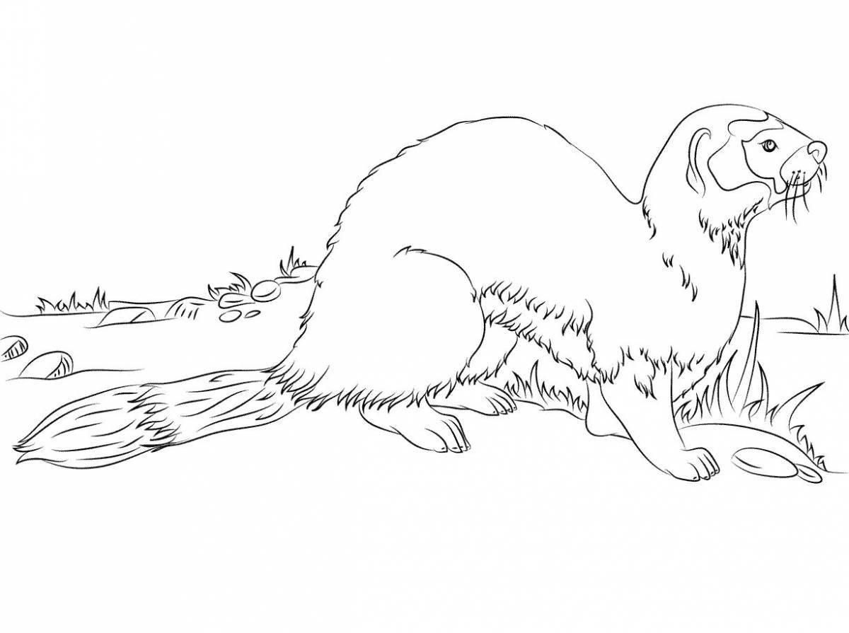 Adorable wolverine animal coloring pages for kids
