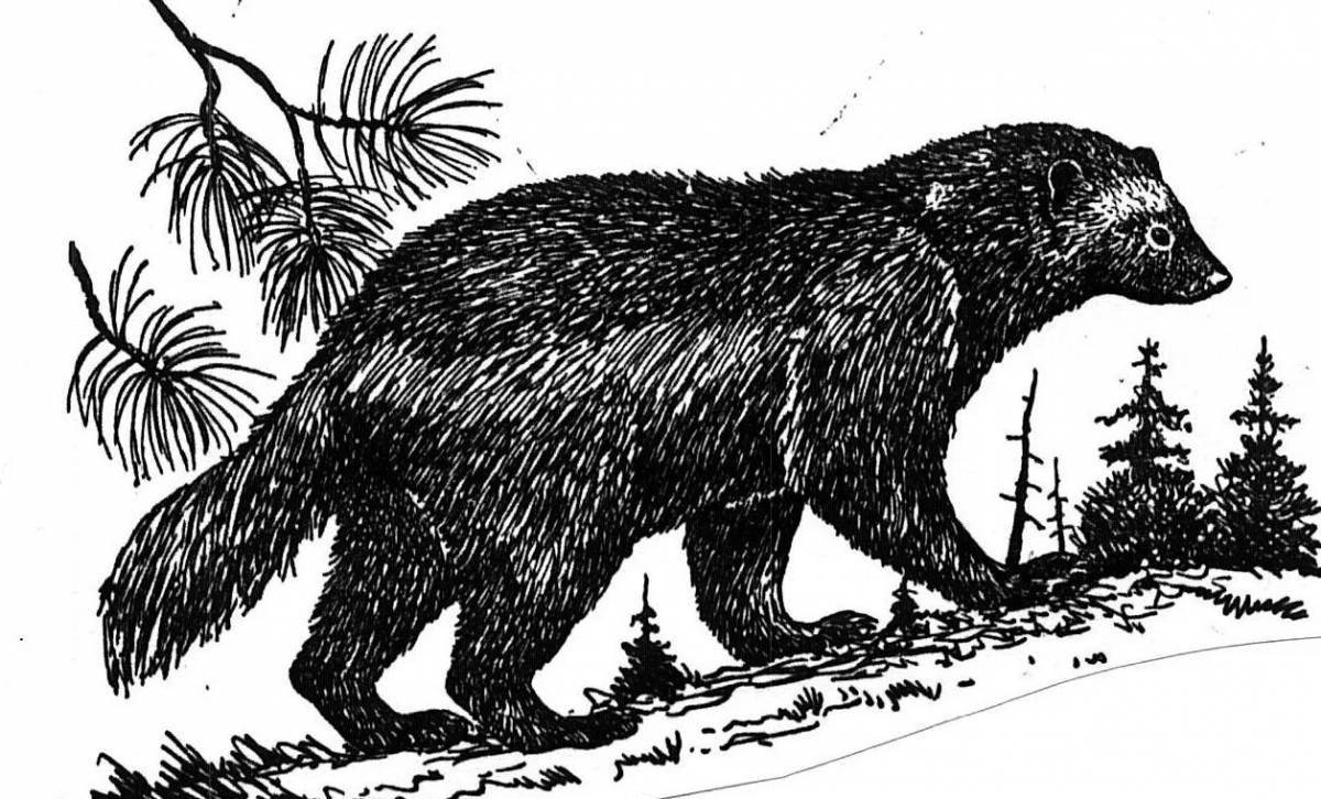 Wolverine magical animal coloring book for kids