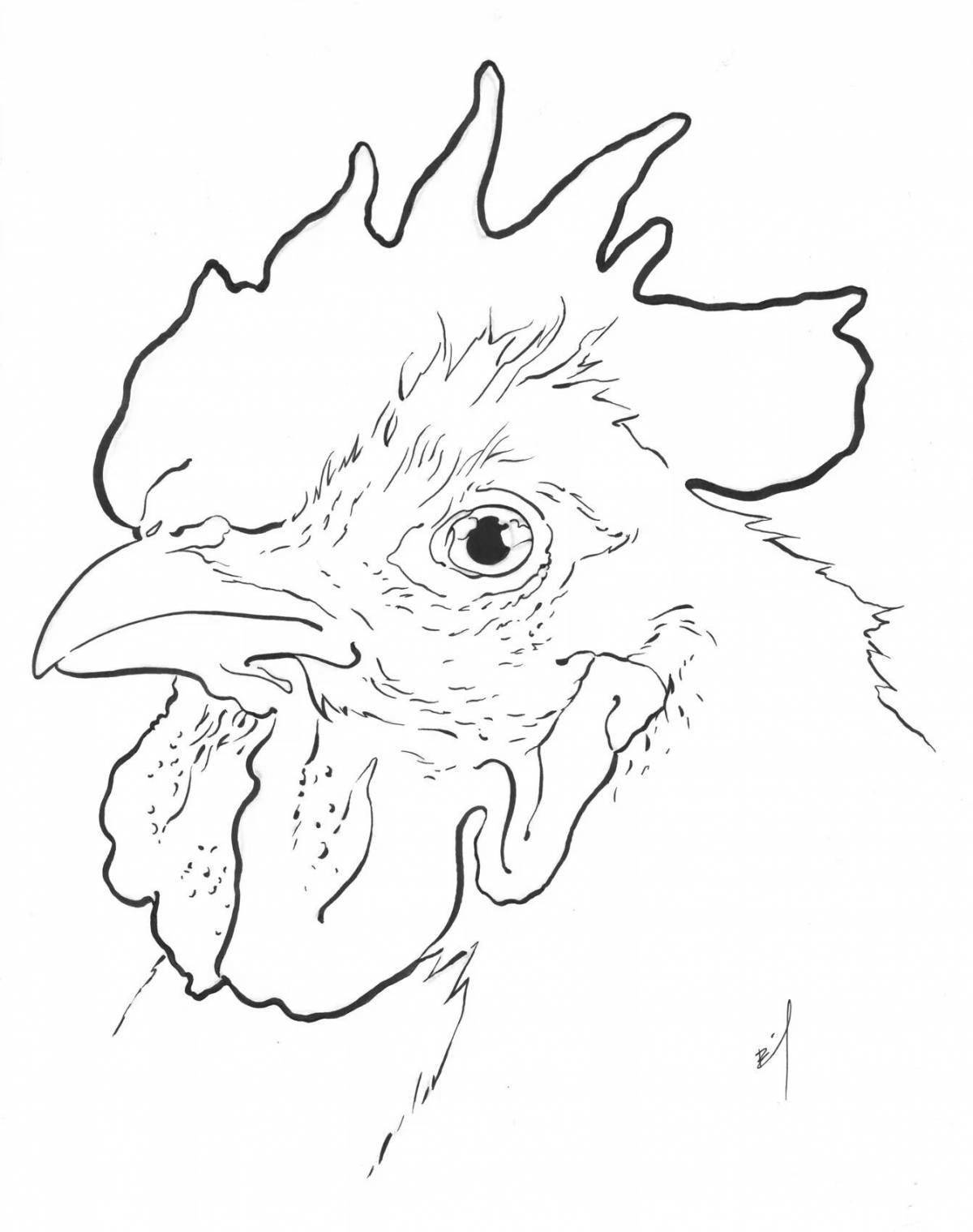 Зарисовки куриц