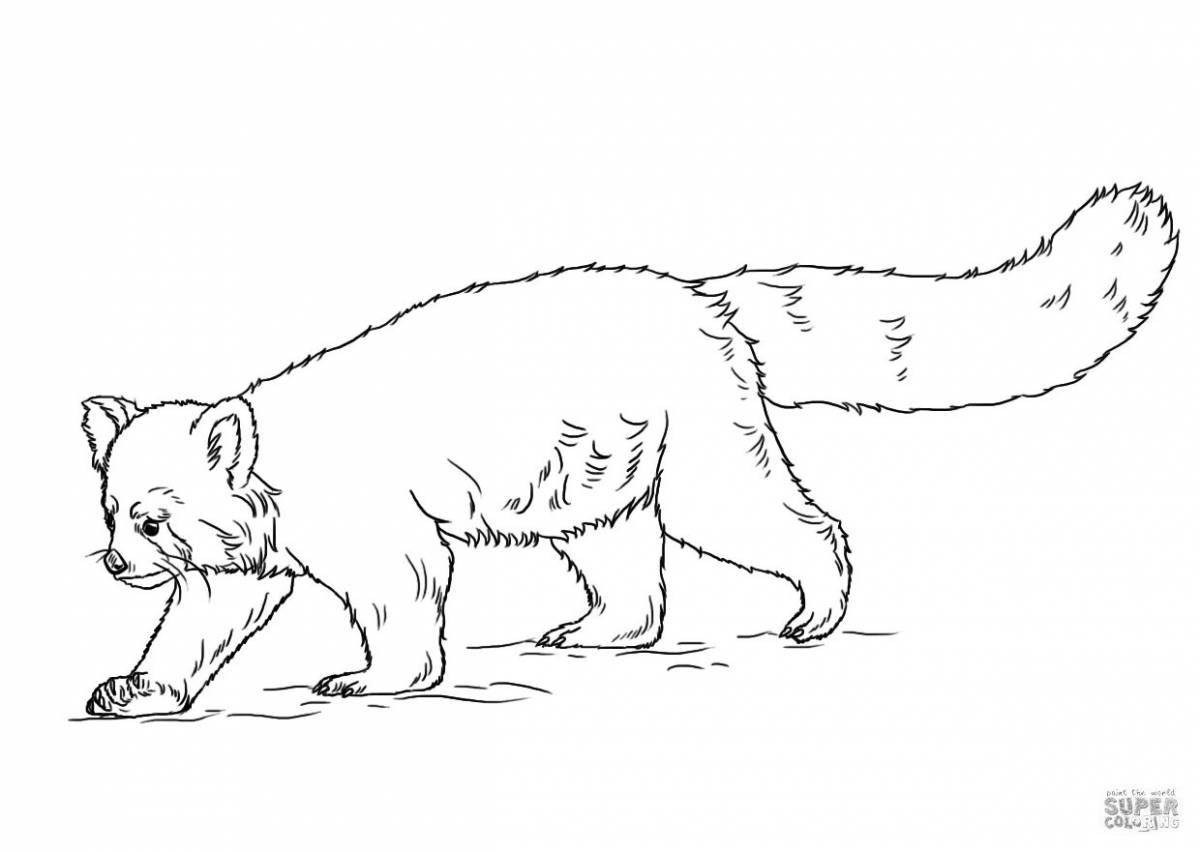 Impressive wolverine animal coloring page for kids