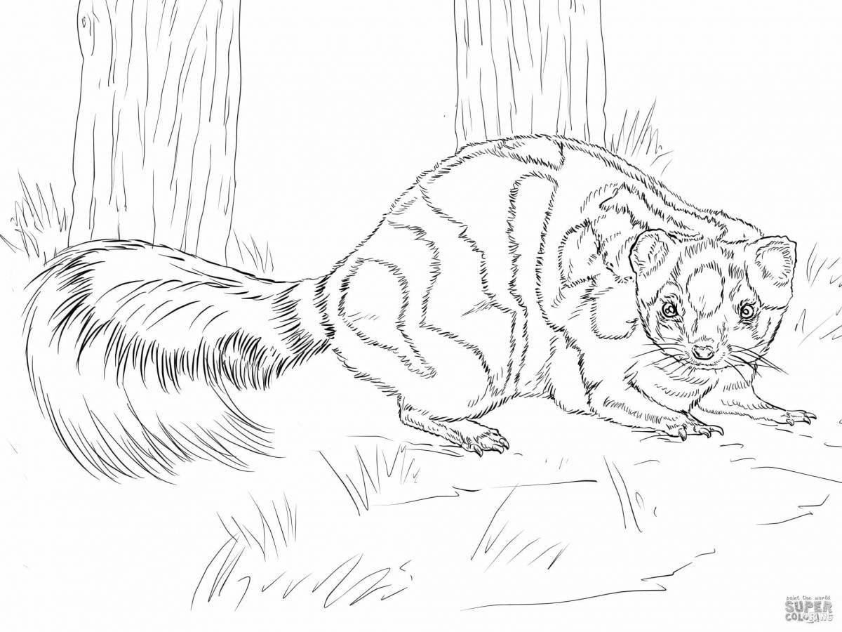Outstanding wolverine animal coloring page for kids