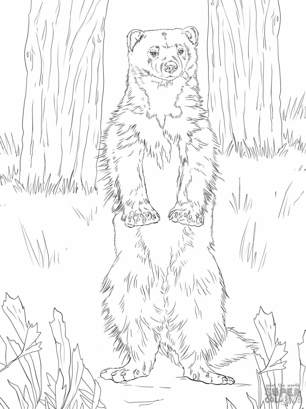 Amazing wolverine animal coloring page for kids