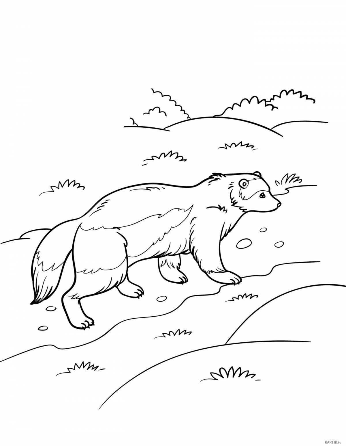 Wolverine animal coloring book for kids