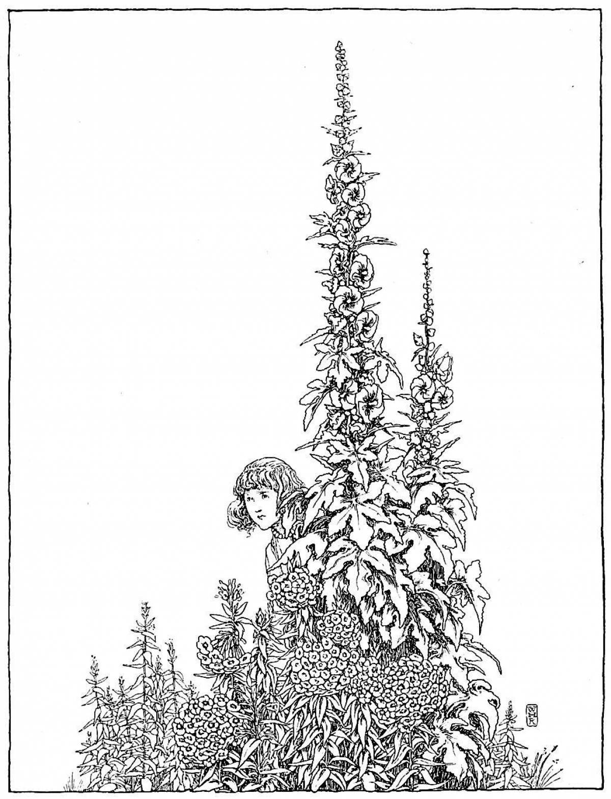 Coloring playful spruce