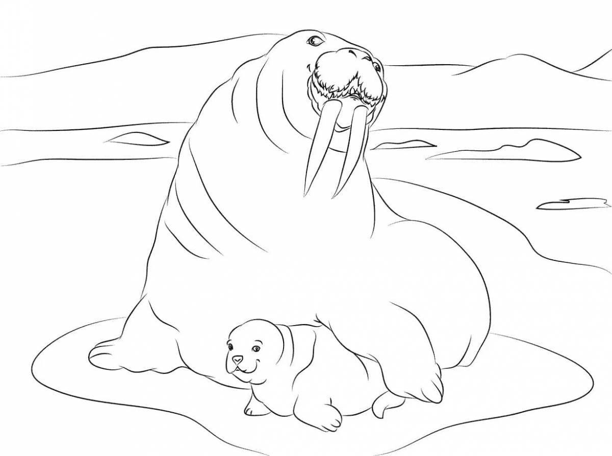 Major coloring pages animals of the north