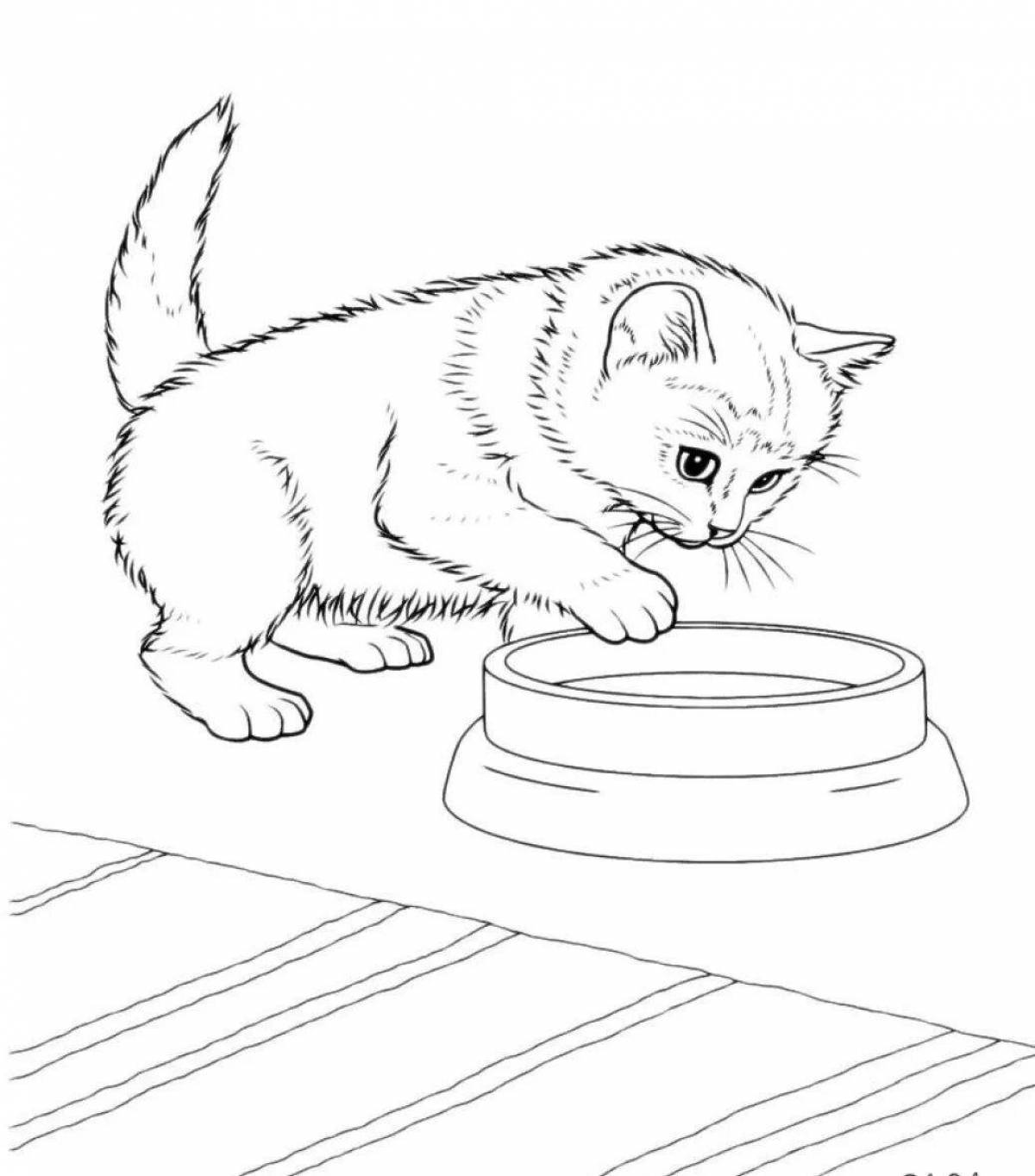 Sweet kitten drawing for kids