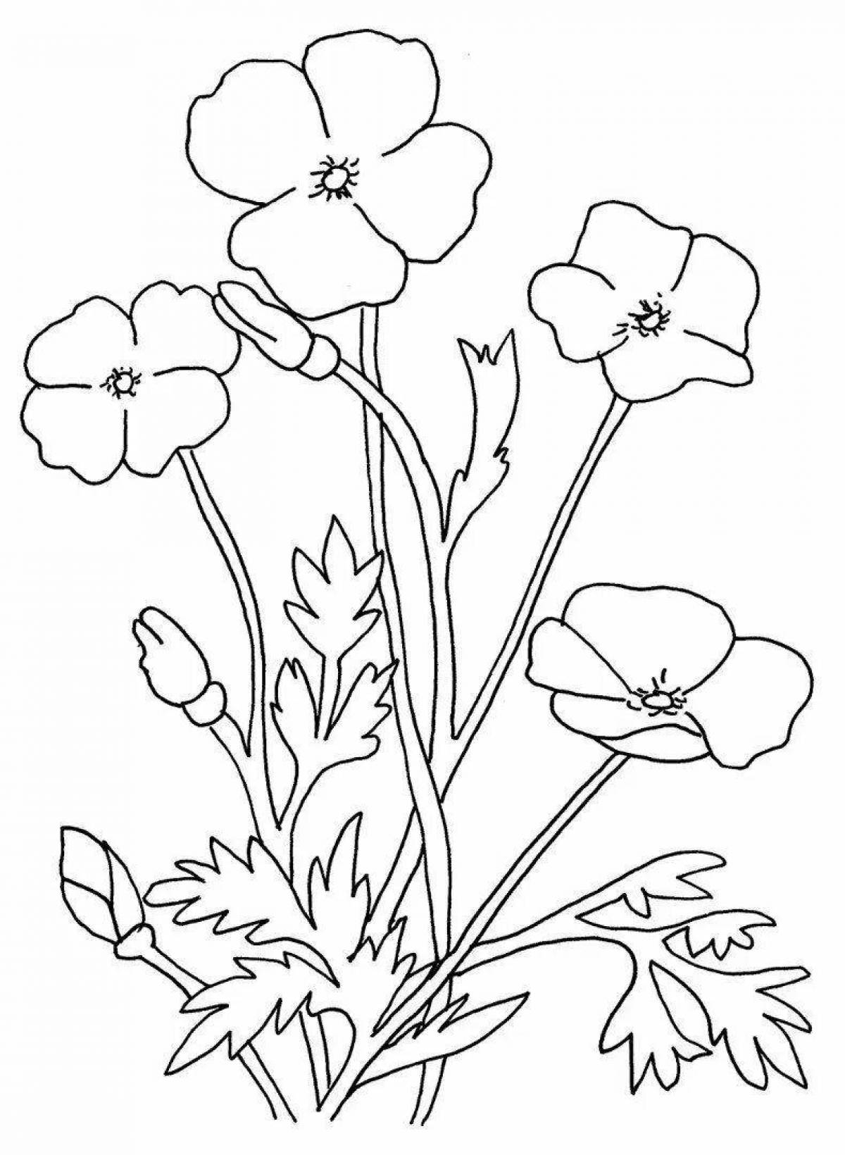 Colouring bright wildflowers for children