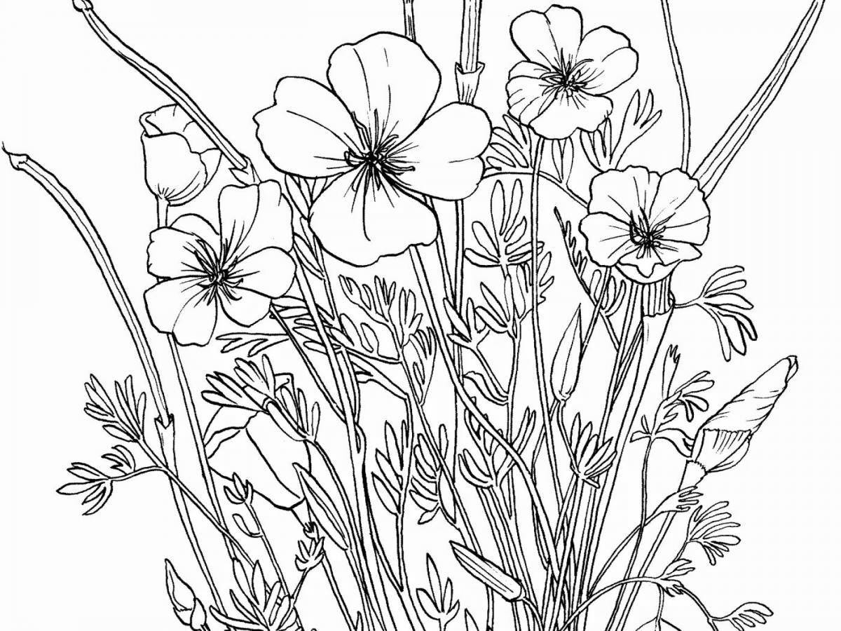 Playful wildflowers coloring page for kids
