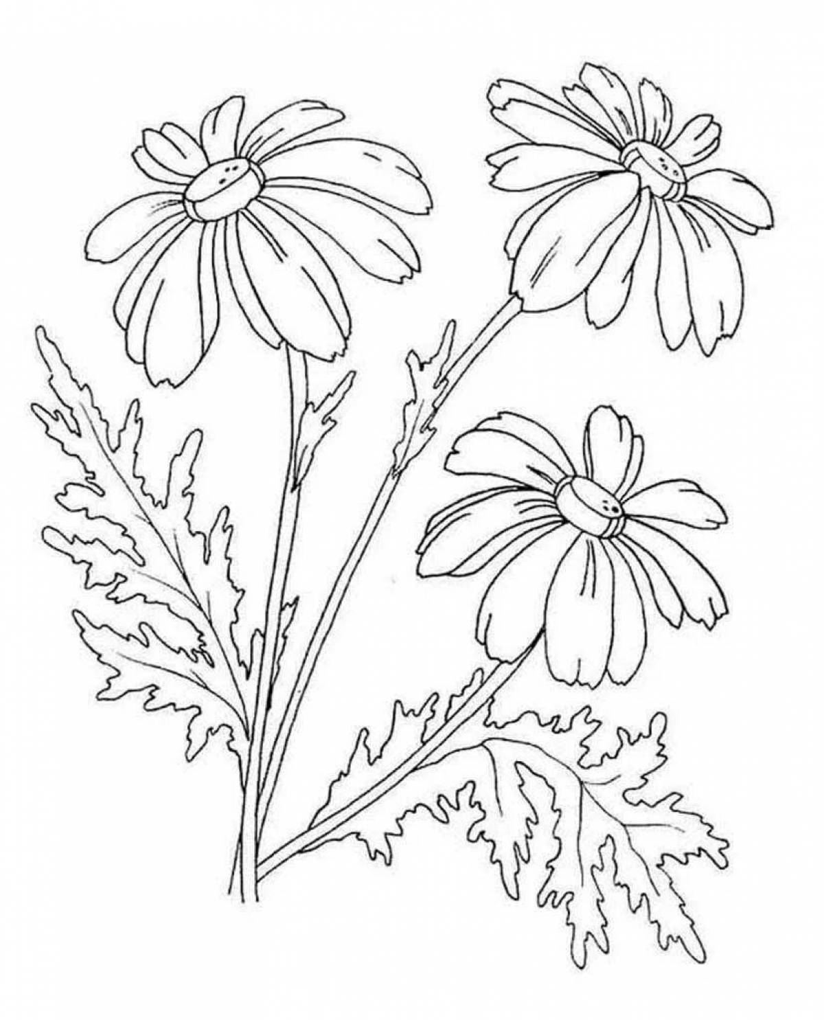 Adorable wild flowers coloring book for kids