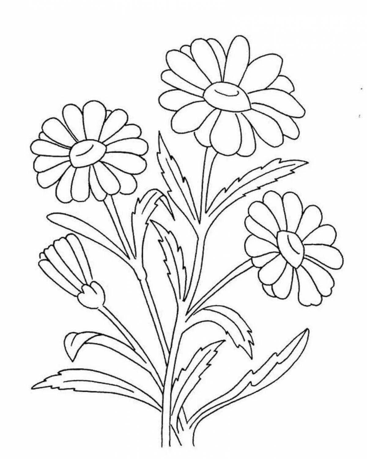 Exquisite wildflowers coloring book for kids