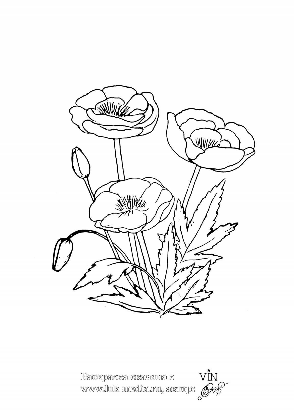 Gorgeous wild flowers coloring pages for kids