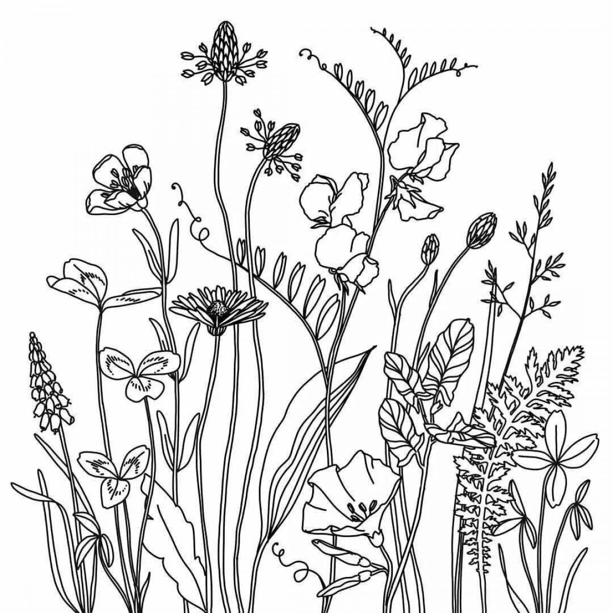 Amazing wild flowers coloring book for kids
