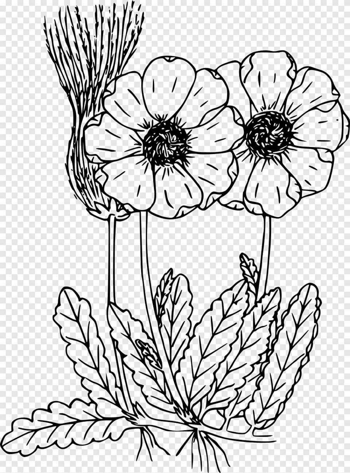 Coloring funny wildflowers for kids